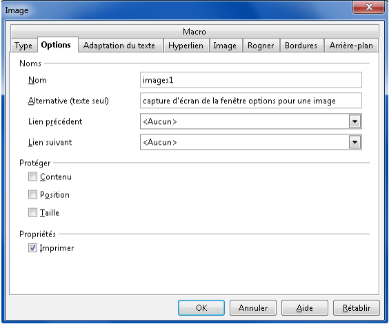 fenêtre Image, onglet Options, avec champ 'Alternative (texte seul)
