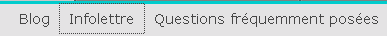 menu anysurfer avec petit pointillé autour du lien Infolettre