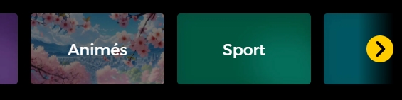 sliders avec différent types de programmes (Animés, sport) et un bouton suivant