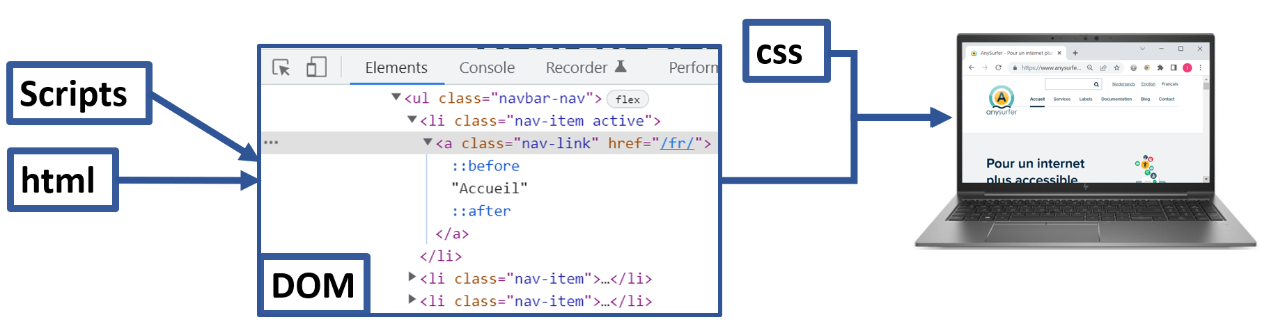 le code HTML et les scripts produisent le contenu du DOM qui est utilisé en combinaison avec le CSS pour afficher le site sur l'écran du PC