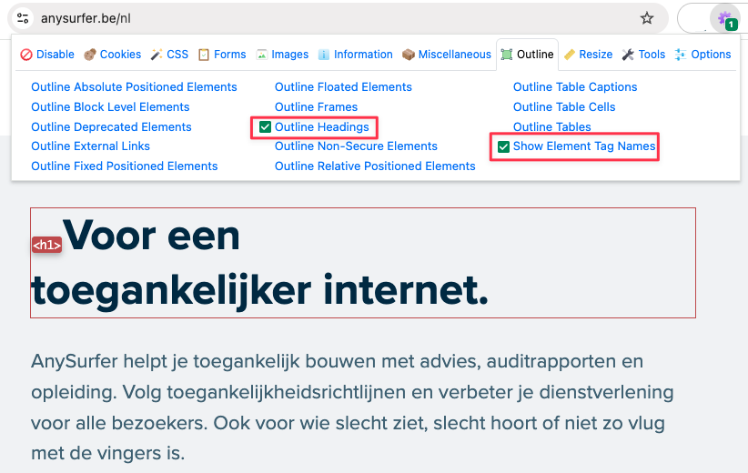 visualiseer de titels met de web developer toolbar
